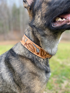 Custom Dog Collars