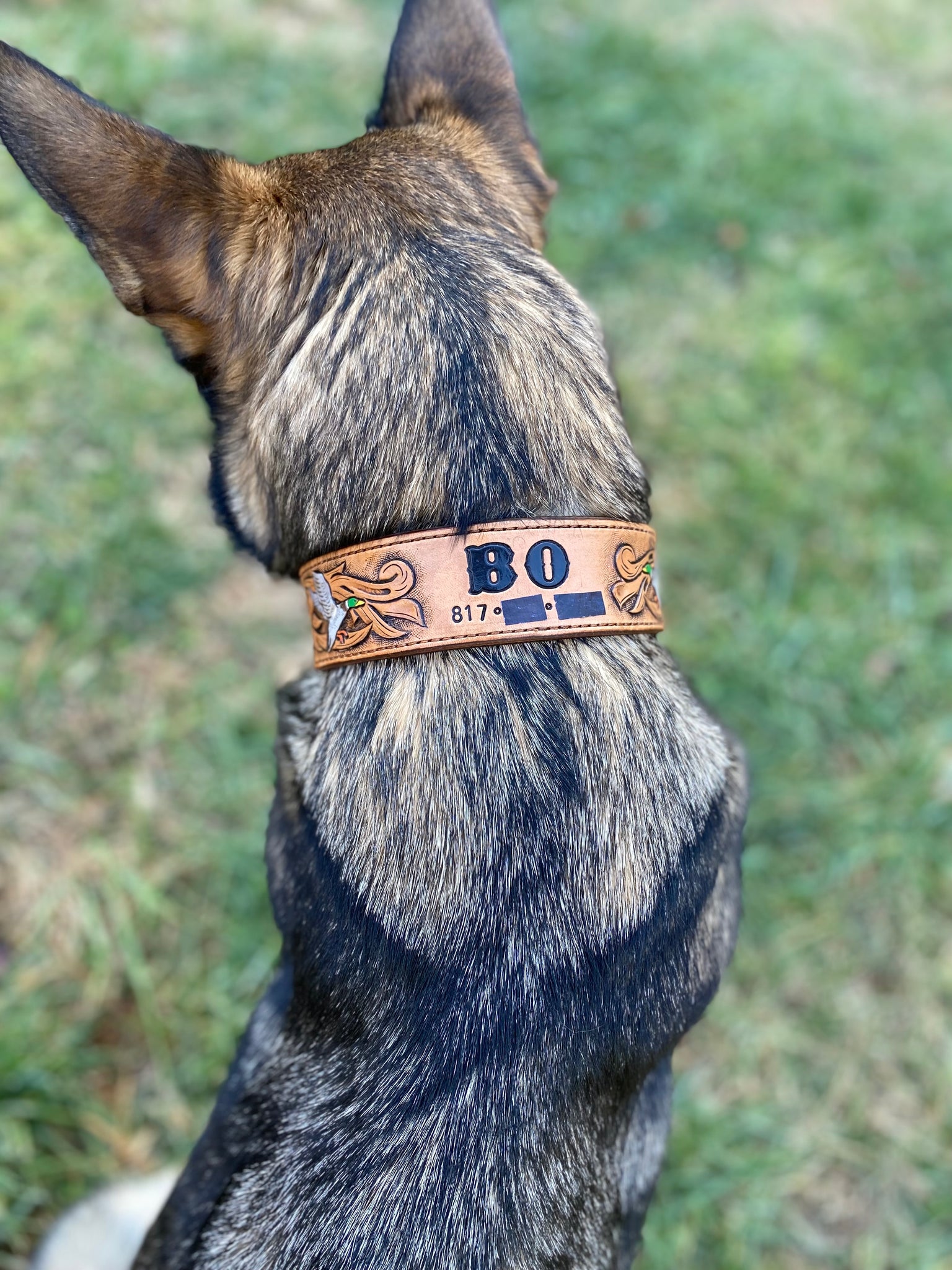 Amish Doves 1 Dog Collar